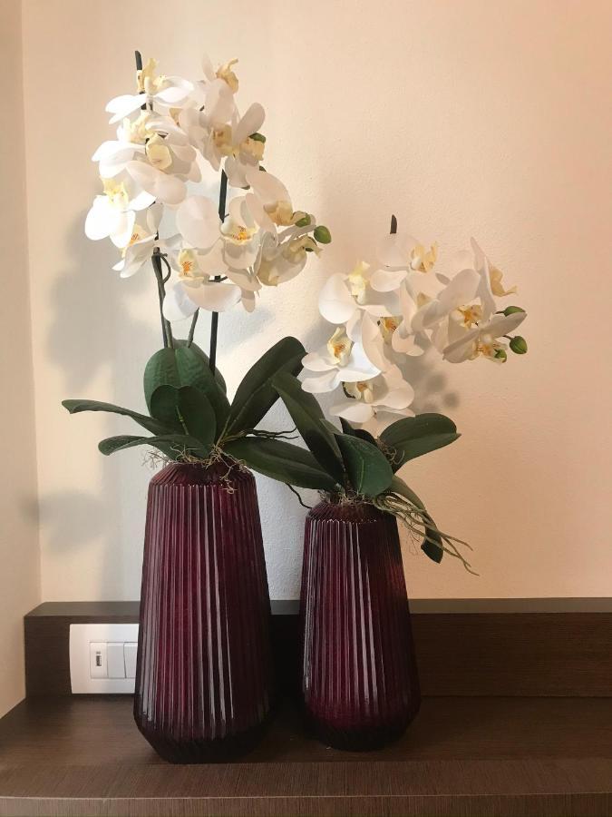 Verona Porta Borsari Relais 外观 照片